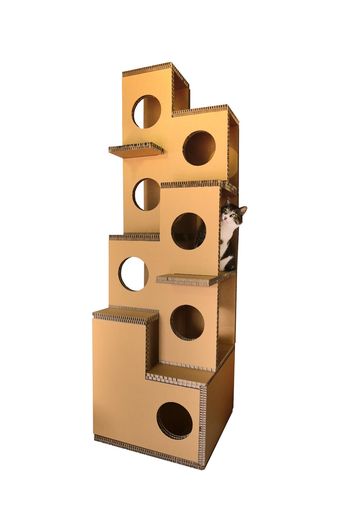楽天市場】もえ楽園 キャットタワー 突っ張り 3軸でしっかり安定