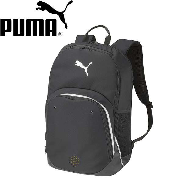 ◆◆ ＜ピューマ＞ PUMA TEAMFINAL うしろ側風呂敷き包みII 35L 091599 (01)