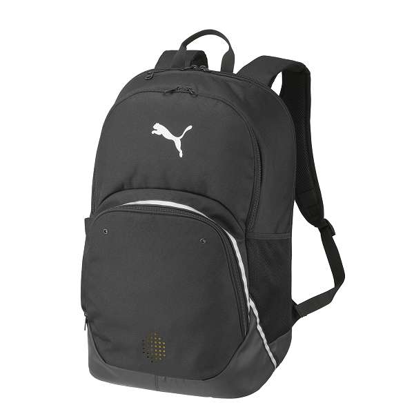 ◆◆ ＜ピューマ＞ PUMA TEAMFINAL うしろ側風呂敷き包みII 45L 091600 (01)