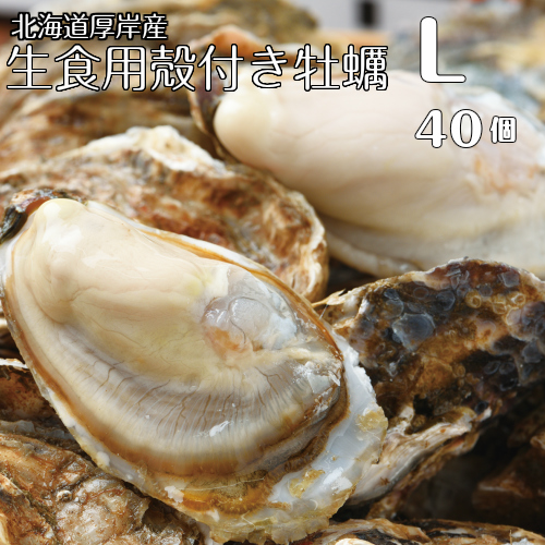 【マルえもん　Lサイズ40個】北海道厚岸産本養殖牡蠣生食用