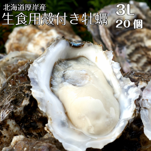 マルえもん 豊富な品 人気上昇中 3Lサイズ20個 北海道厚岸産本養殖牡蠣生食用