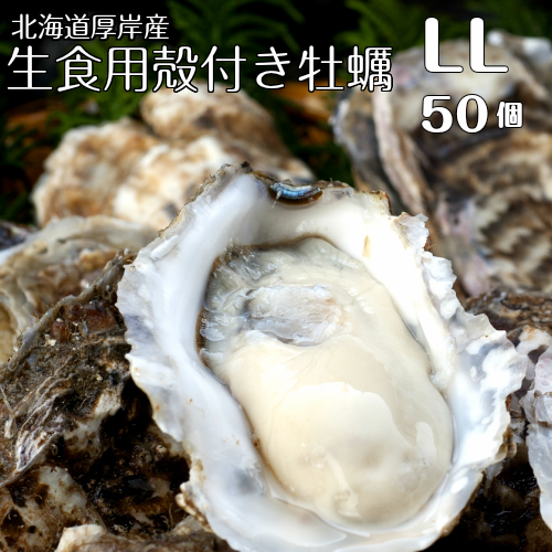 【マルえもん　LLサイズ50個】北海道厚岸産本養殖牡蠣生食用