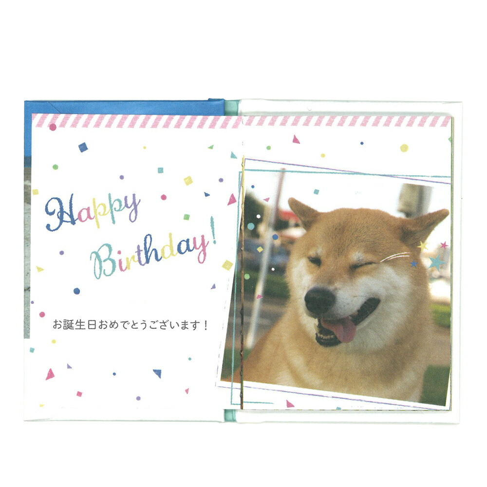 楽天市場 柴犬まる 誕生日カード 豆ブック 柴犬まる B 学研ステイフル 学研ステイフル 楽天市場店