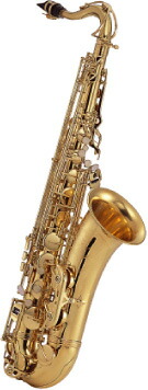 楽天市場】J.Michael Jマイケル TN-900テナーサクソフォン 【テナー