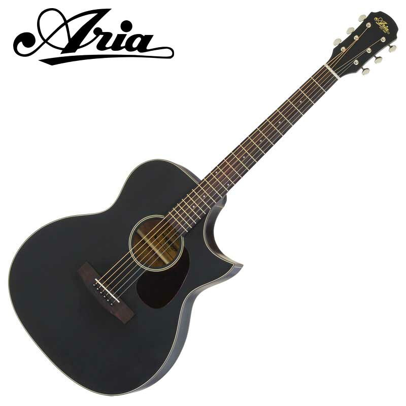 ARIA エレアコ Aria-101CE MTBK (Black, Matt) アリア｜楽器de元気