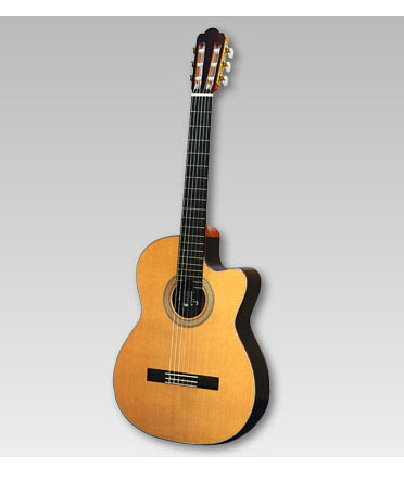 ASTURIAS クラシック 辻渡 S-CW/C（杉）エレガット アストリアス 辻ギター