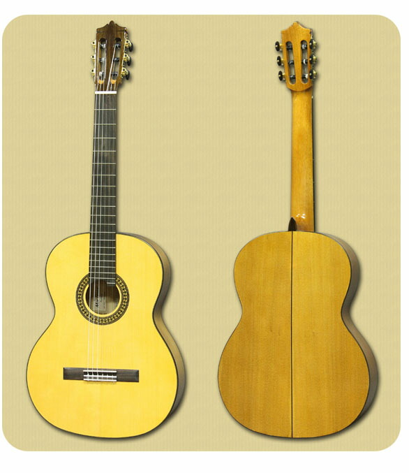 楽天市場】Martinez MFG-AS-CET 新品[マルティネス][Classical Guitar
