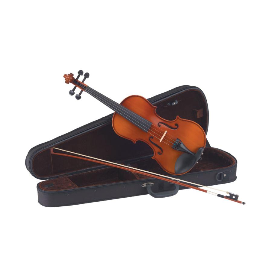楽天市場】【ポイント10倍】カルロ・ジョルダーノ バイオリン VS-1400