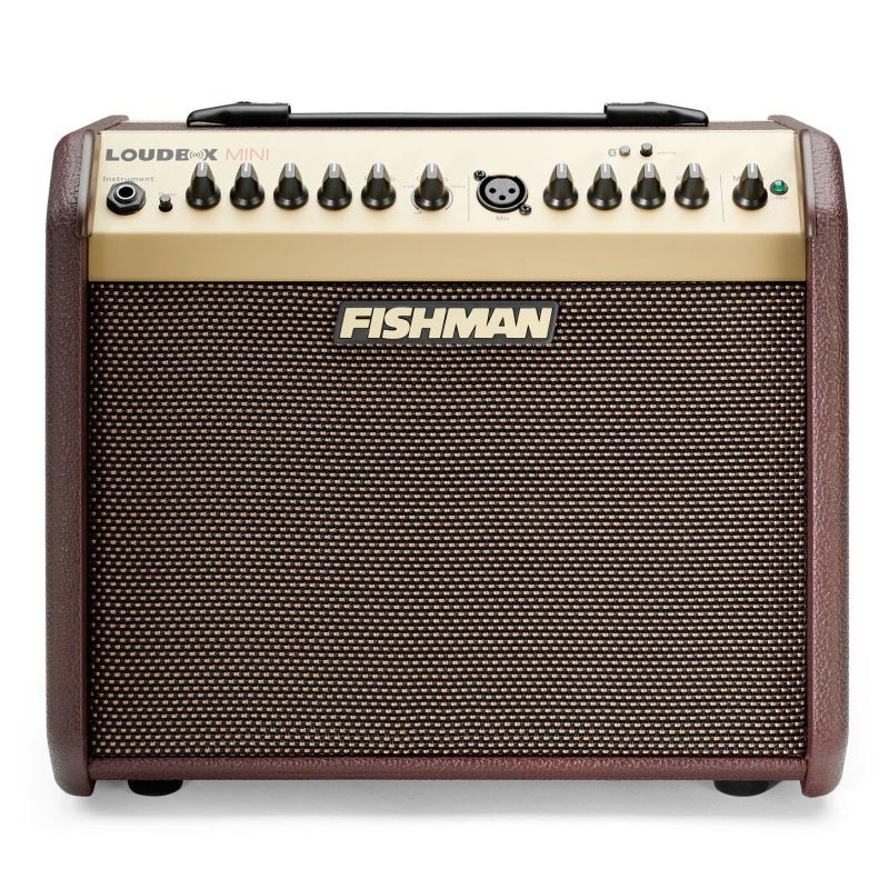 【4/15~20 P5倍or10倍!(対象外あり)】FISHMAN LOUDBOX MINI BLUETOOTH アコースティック用アンプ〈フィッシュマン〉