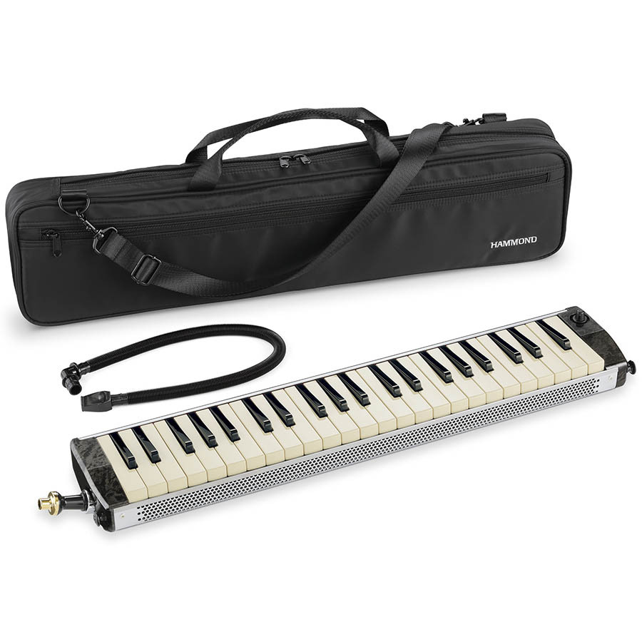 鍵盤楽器 paradiddle 鍵盤楽器 paradiddle 鍵盤楽器 paradiddle 鍵盤楽器 paradiddle