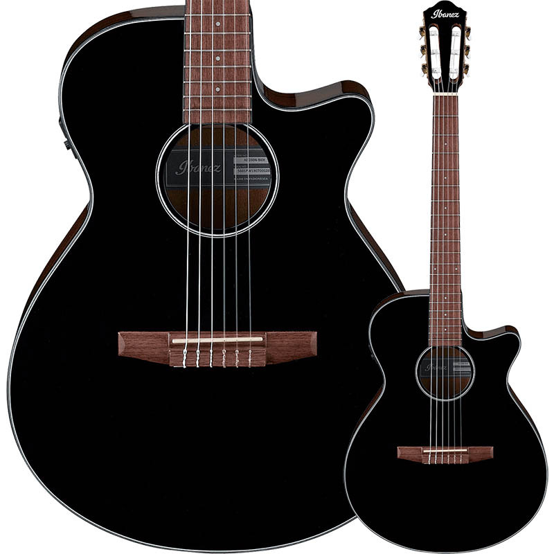楽天市場】Ibanez AEG10NII TNG 新品[アイバニーズ][エレガット