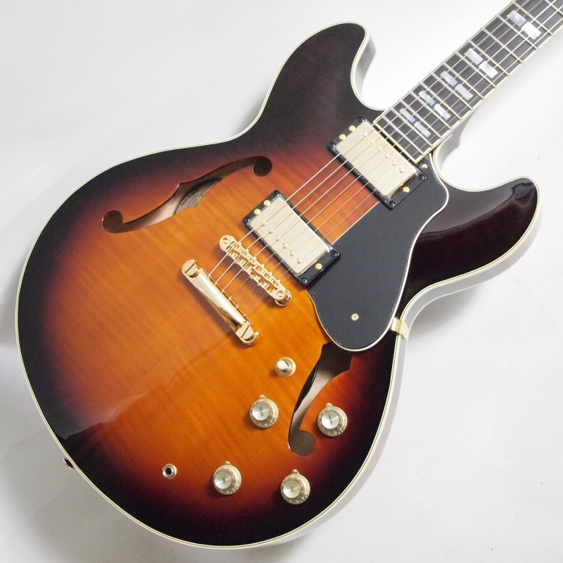 Landscape セミアコースティックギター LANDSCAPE ランドスケープ セミアコースティック・ギター セミアコ