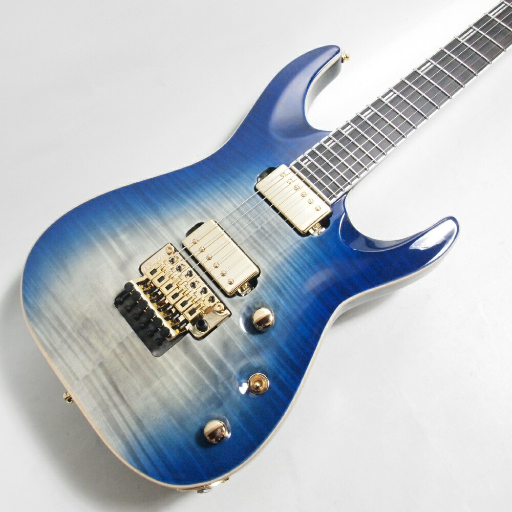 楽天市場】Edwards E-SE-100M/LT/Large 新品 ブラック[エドワーズ