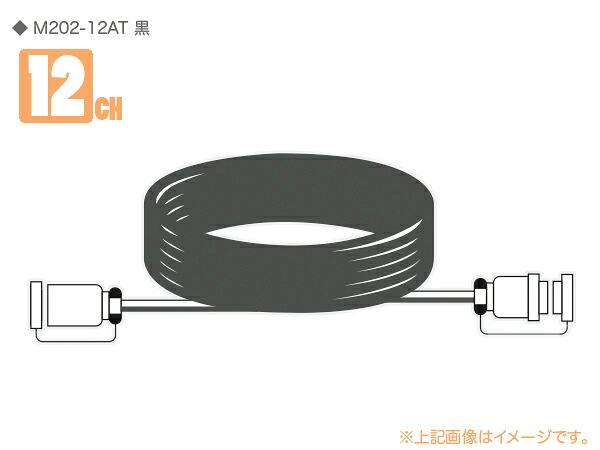CANARE カナレ 12C10-M2 ◆ 12ch マルチケーブル ・10M M2タイプ｜ワタナベ楽器　ＳＨＯＰ