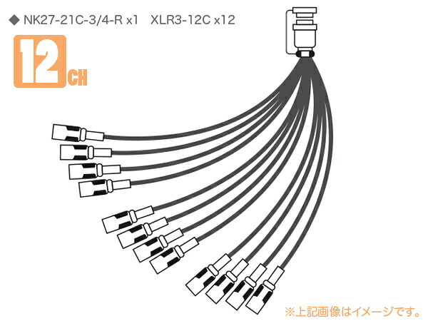 CANARE カナレ 12S2N1 ◆ 12ch セパレートコード ・NK27-21C-3/4-R x1 XLR3-12C&times;12｜ワタナベ楽器　ＳＨＯＰ