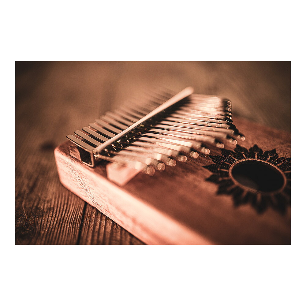 Meinl マイネル Sonic Energy カリンバ Soundhole Kalimba マホガニー KL1708H【KL1708H】 パーカッション 打楽器 親指ピアノ
