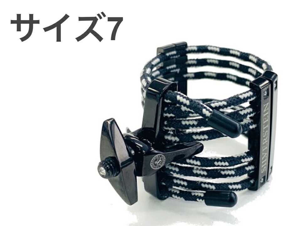 売れ筋がひクリスマスプレゼント! Silver Stein アルトサックス用