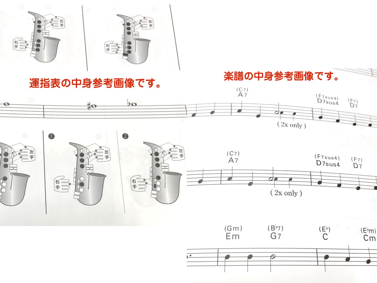 完璧 Kaerntner ケルントナー Kal 62 アルトサックス ラッカー 管楽器 E Alto Saxophone Gold Kal62 セット H 北海道 沖縄 離島 同梱不可 Fucoa Cl