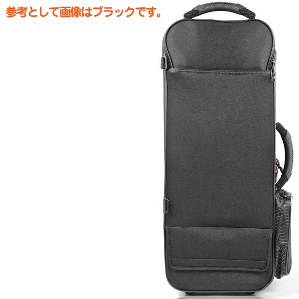 色々な bam バム 3021S アルトサックス セミハード ケース ブルー トレッキングケース TREKKING ALTO saxophone  CASE 3021SM blue 北海道 沖縄 離島不可 fucoa.cl