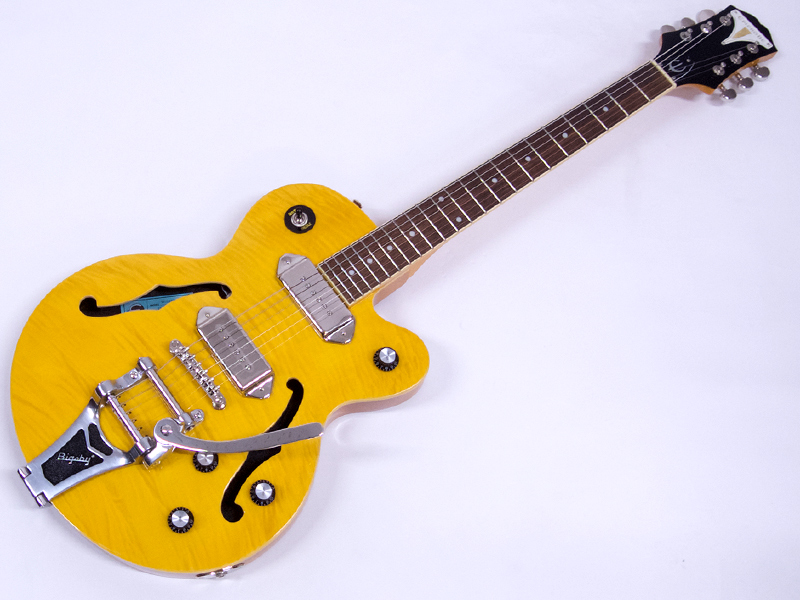 セール！ Epiphone Wildkat ☆セミアコ | www.bqp.co.rs