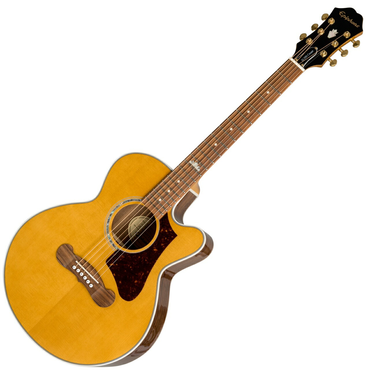 Taylor 210ce エレアコ Taylor 210ce Rosewood PLUS エレアコギター 【アウトレット特価