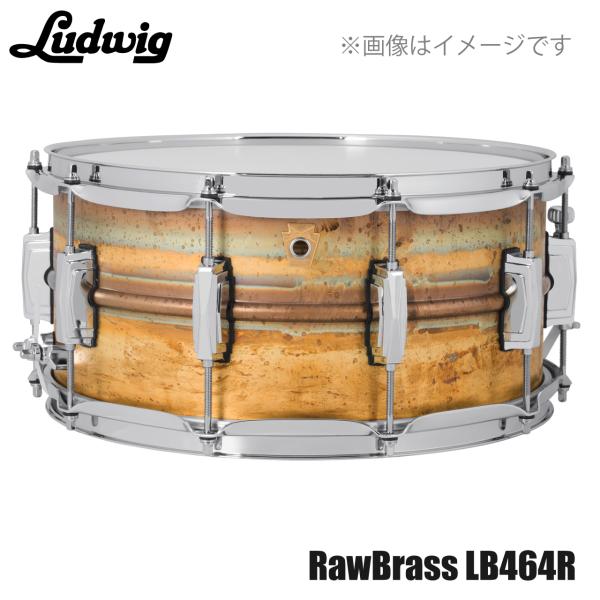 LUDWIG ラディック LB464R Raw Brass Phonic 14"×6.5" ドラム スネア ブラス【LB464R】|ワタナベ楽器 SHOP