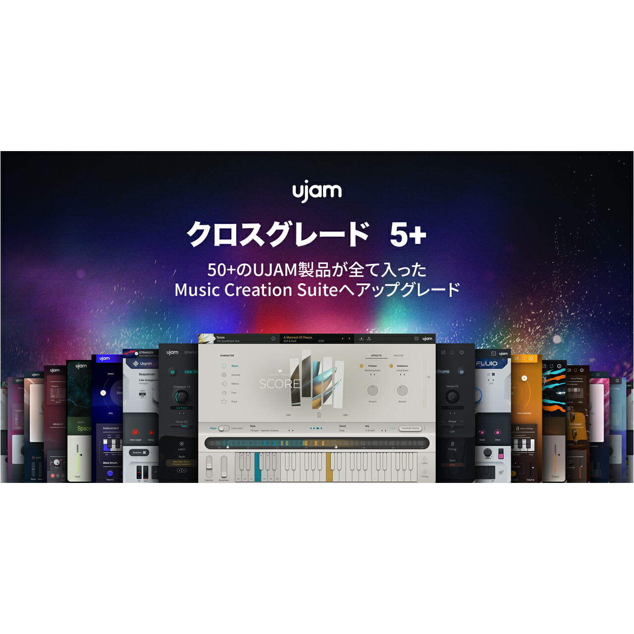 ワタナベインストゥルメント店 大特価 大売り出し 特設ペイジ