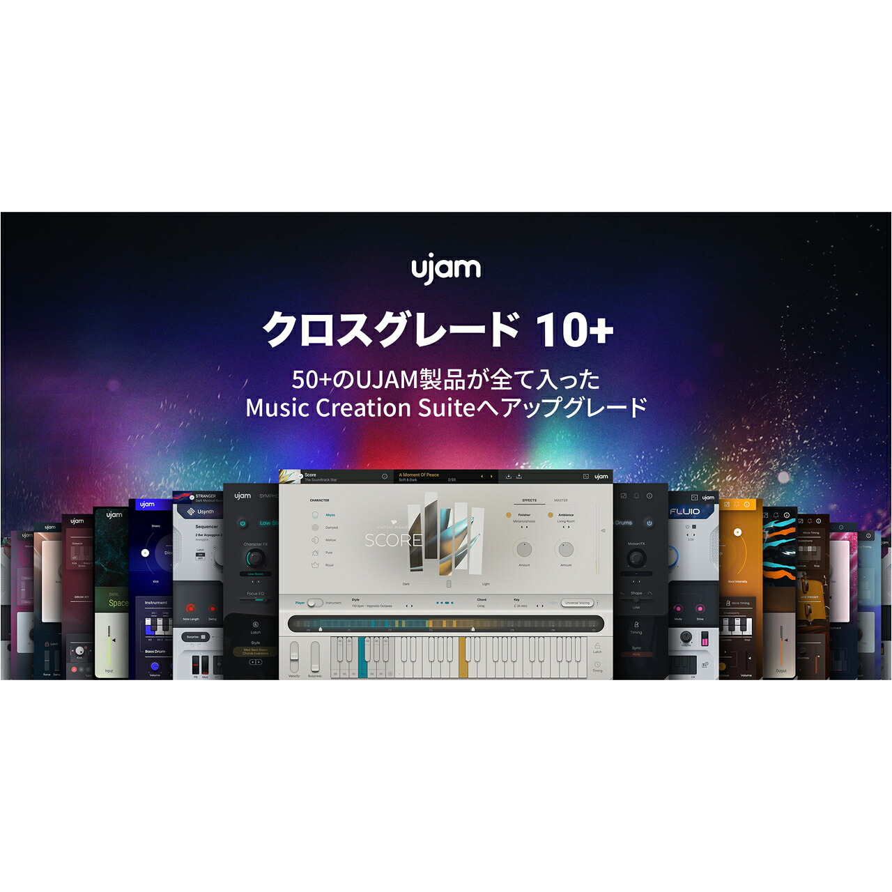 ワタナベインストゥルメント店 大特価 大売り出し 特設ペイジ