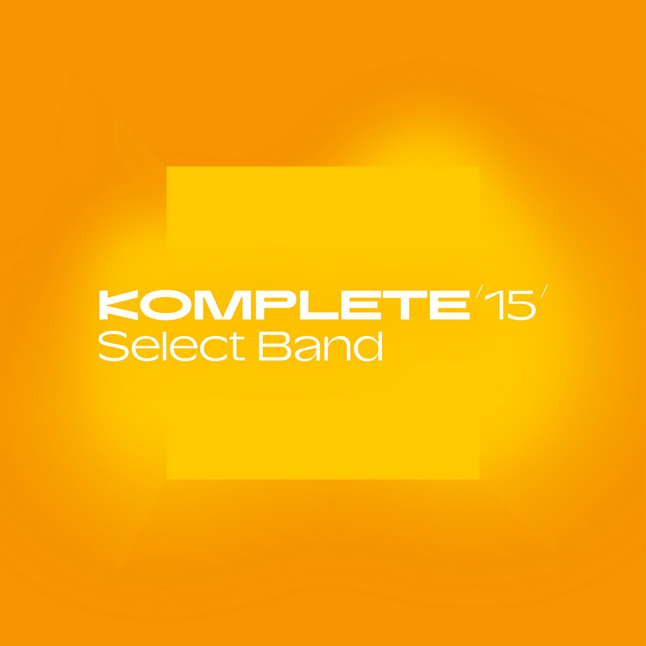 Native Instruments ネイティブインストゥルメンツ ［在庫1点限り］ Komplete 15 Select Beats DTM DAW
