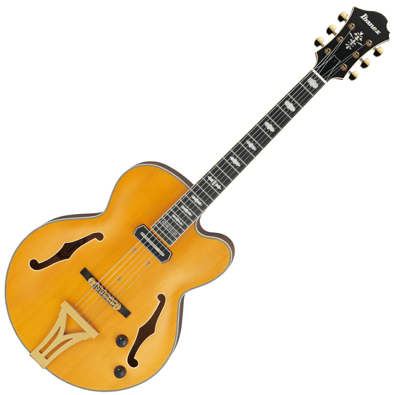 Ibenez PM2 PAT METHENY フルアコ パット・メセニー 楽天市場】Ibanez Signatures Series PM200-NT [Pat Metheny