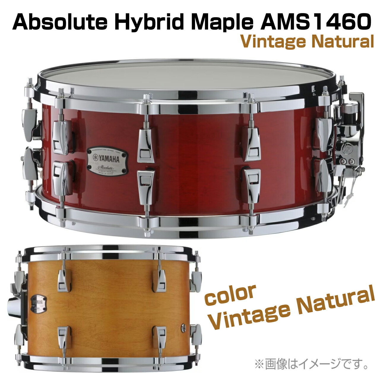 YAMAHA ヤマハ AMS1460 Vintage Natural Absolute Hybrid Maple ドラム スネア 木胴 メイプル アブソリュート【AMS1460】【 4月6日時点メーカー在庫無し 】