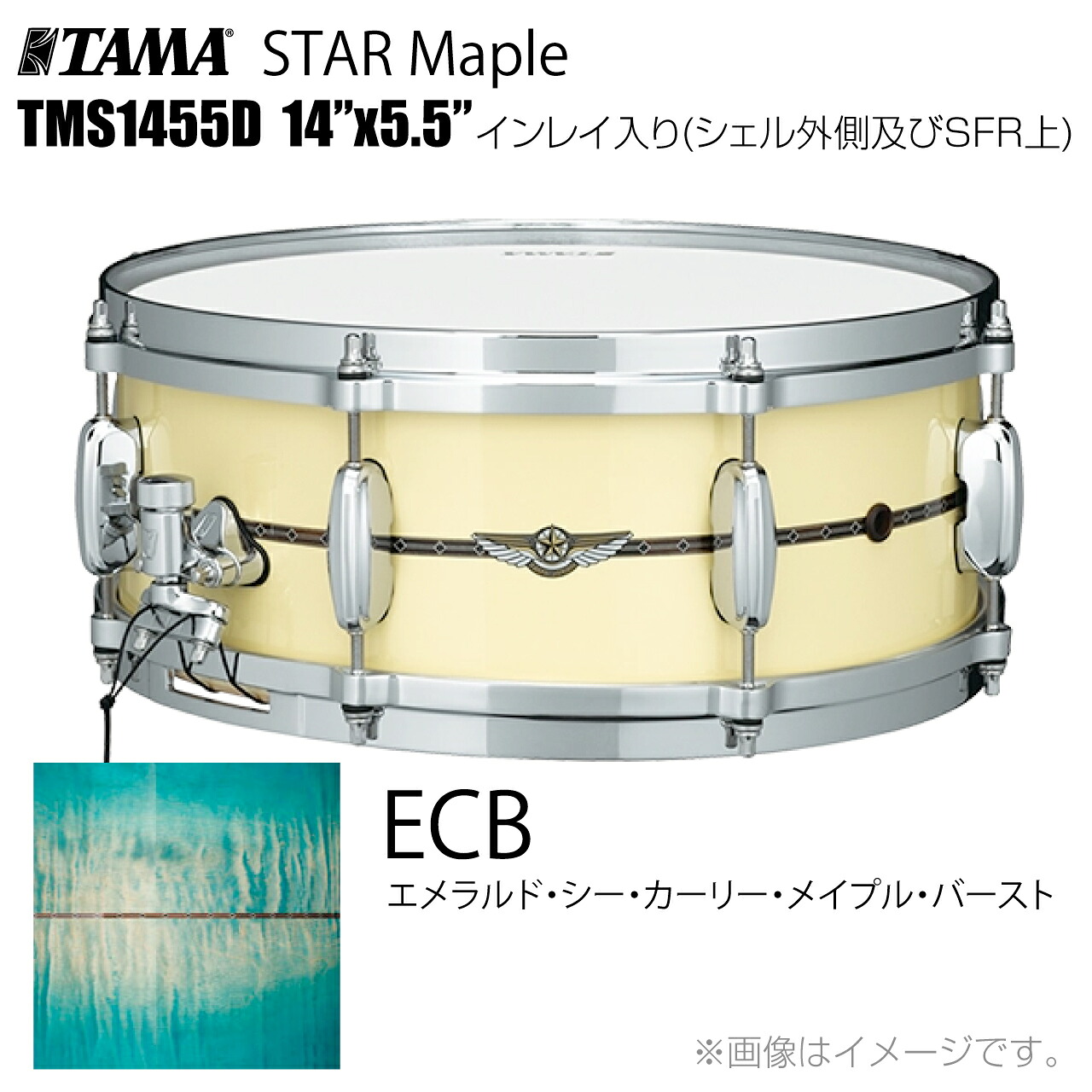 TAMA タマ STAR Maple TMS1455D ECB インレイ入り(シェル外側とSFR) ドラム スネア【TMS1455D ECB】【ケース付き 受注生産 納期要確認 代引不可 】 スター スターメイプル|ワタナベ楽器 SHOP