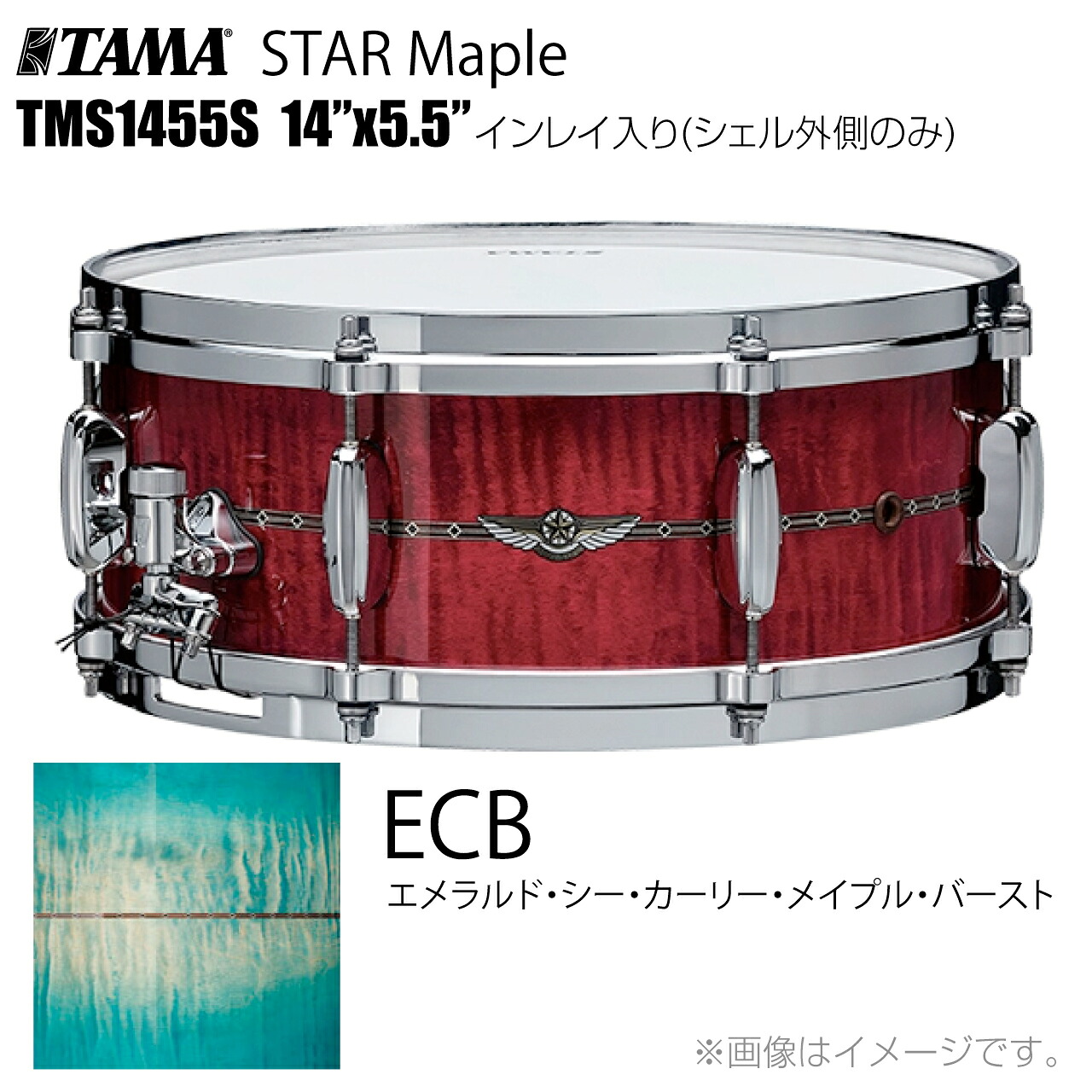 TAMA タマ STAR Maple TMS1455S ECB インレイ入り(シェル外側のみ) ドラム スネア【TMS1455S ECB】【代引不可 受注生産 納期要確認 ケース付き 】 スター スターメイプル|ワタナベ楽器 SHOP