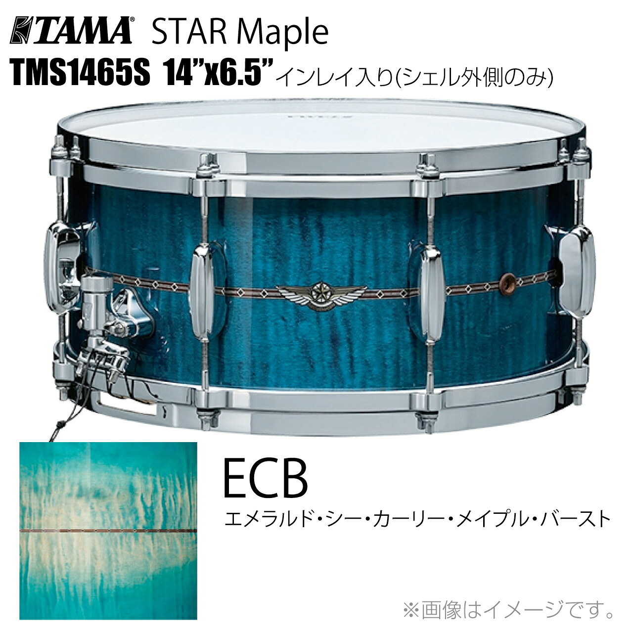 TAMA タマ STAR Maple TMS1465S ECB インレイ入り(シェル外側のみ) ドラム スネア【TMS1465S ECB】【 受注生産 納期要確認 代引不可 ケース付き 7月11日時点メーカー在庫無し 】 スター スターメイプル|ワタナベ楽器 SHOP