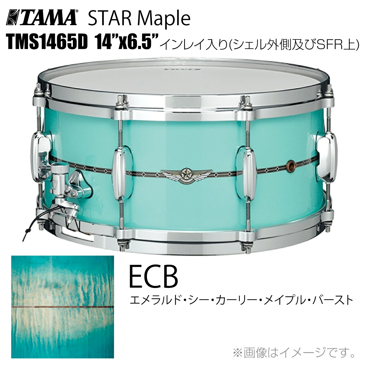 TAMA タマ STAR Maple TMS1465D ECB インレイ入り(シェル外側とSFR) ドラム スネア【TMS1465D ECB】【ケース付き 受注生産 納期要確認 代引不可 】 スター スターメイプル|ワタナベ楽器 SHOP