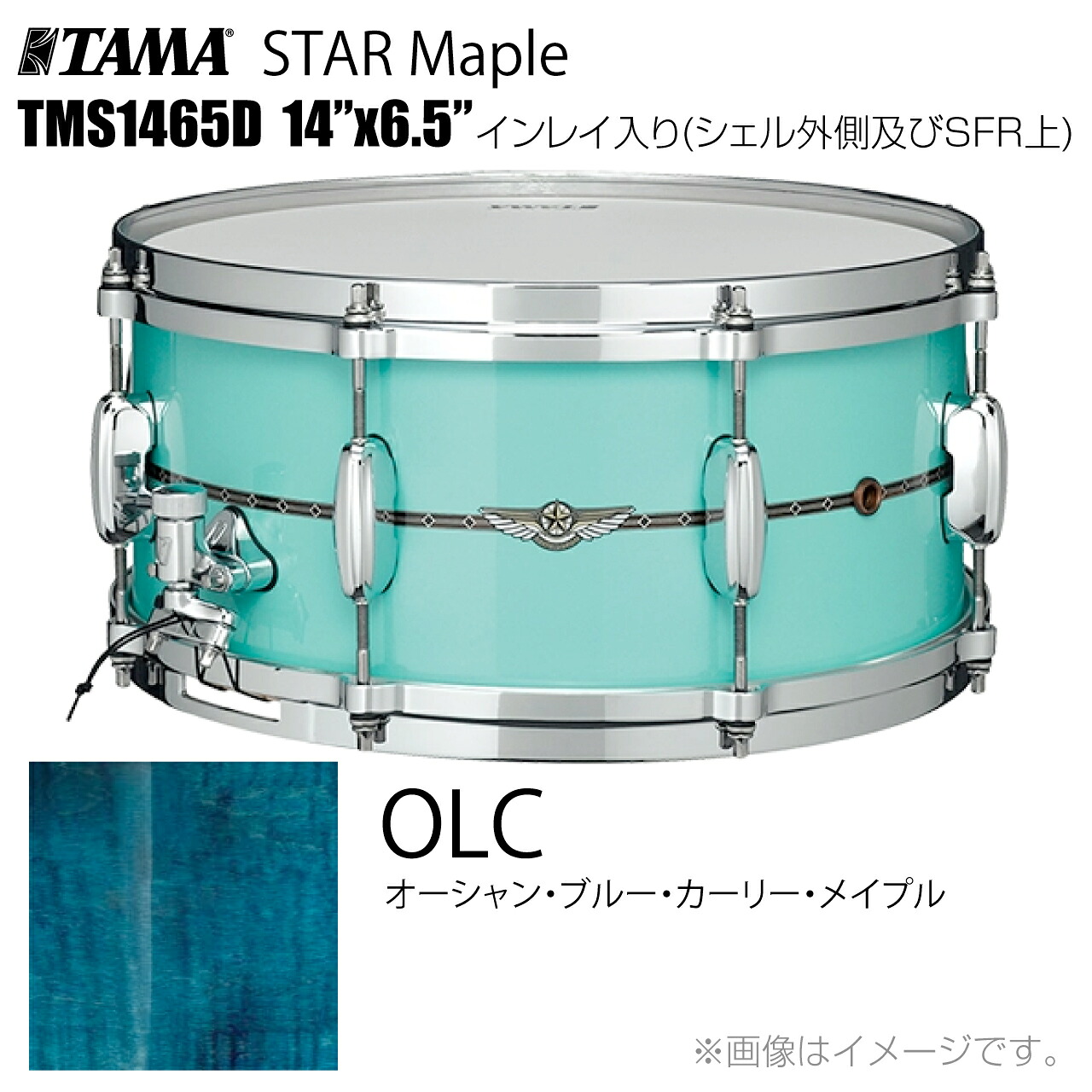 TAMA タマ STAR Maple TMS1465D OLC インレイ入り(シェル外側とSFR) ドラム スネア【TMS1465D OLC】【代引不可 ケース付き 受注生産 納期要確認 】 スター スターメイプル|ワタナベ楽器 SHOP