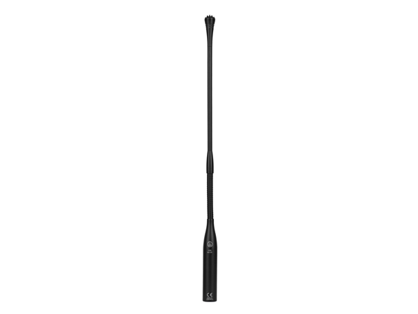 AKG エーケージー CGN99 H/S ◆ コンデンサー型カートリッジ搭載 グースネックマイクロフォン【納期確認商品 取り寄せ 】 ［ CGN Series ］｜ワタナベ楽器　ＳＨＯＰ