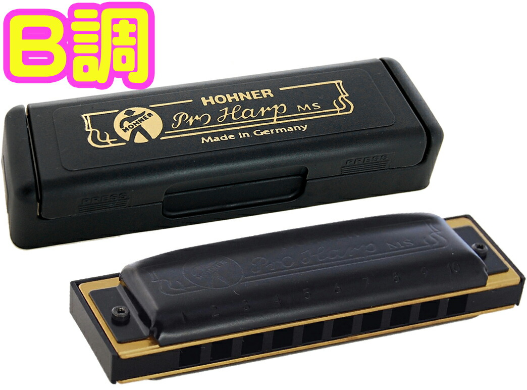 HOHNER SUPREME ホーナー シュプリーム ブルースハープ 10穴 - 楽器/器材