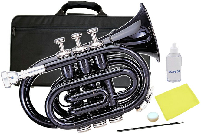 楽天市場】MAXTONE マックストーン TM-100N アウトレット