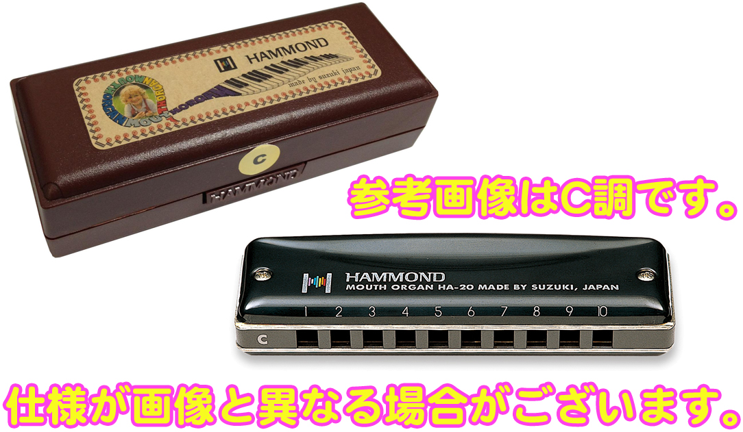 1173円 定番から日本未入荷 Suzuki スズキ D Hammond Ha ハモンド マウスオルガン ハーモニカ 10穴 ブルースハーモニカ ブルースハープ Blues Harmonica 北海道 沖縄 離島 同梱不可