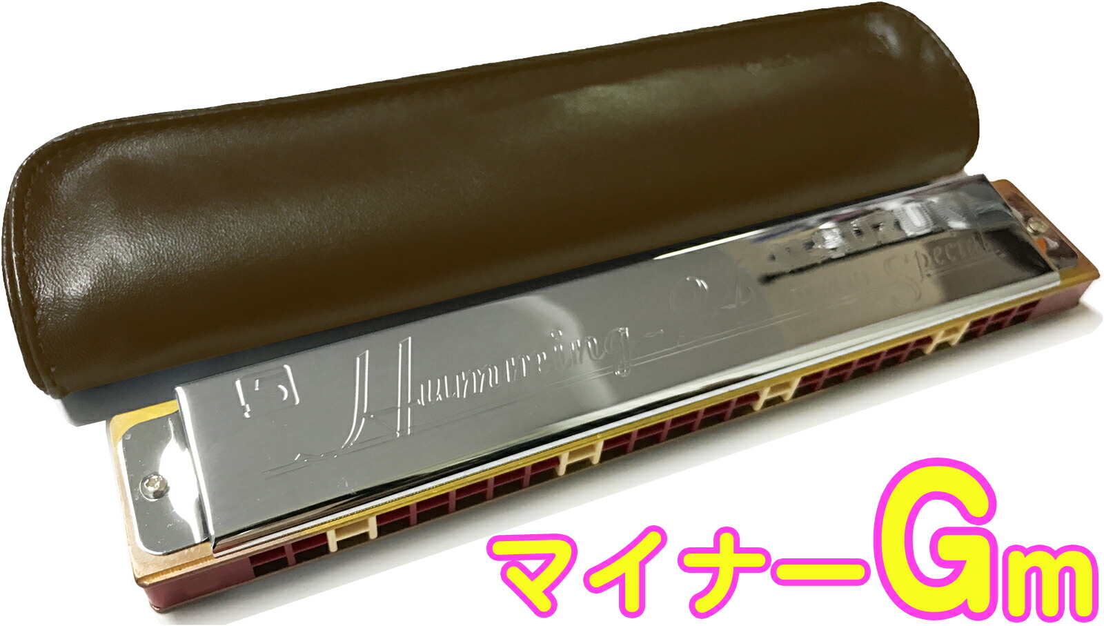 SUZUKI ( スズキ ) Humming-24 Gm 24穴 複音ハーモニカ Gマイナー 高級スズキ ハミング 樹脂ボディ 楽器 短調 Tremolo harmonica Humming 24 minor Gm 【北海道不可 沖縄不可 離島不可】 6,810円