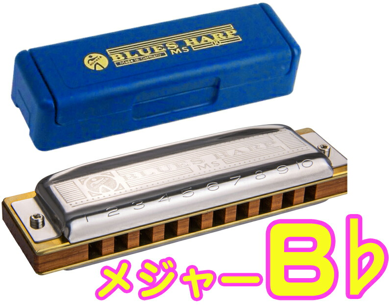 [新品&美品］Hohner Pro Harp MS 10穴ハーモニカ♪ 31dYMVF3wJL.jpg_BO30,255,255,