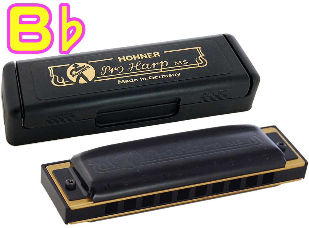 アウトレット送料無料】 HOHNER ホーナー プロハープ B♭ 562 20 10穴 ハーモニカ Pro Harp MS ブルースハープ  テンホールズ ブラック 樹脂ボディ Bb qdtek.vn