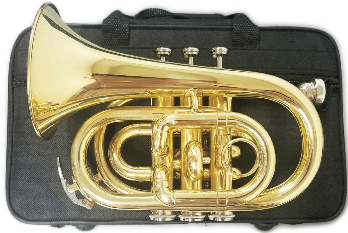 Hsz 863 ポケットトランペット 新品 管楽器 管体 B ゴールド サックス ミニ トランペット 訳あり 管楽器 Mini Pocket Trumpet Gold セット A 北海道 沖縄 離島不可 ワタナベ楽器 楽天shopbフラット 初心者 入門 金管楽器 ラッカー 楽器 ミニ楽器 Hsz 863 ポケットトランペット 新品 管楽器 管体 B ゴールド サックス ミニ トランペット 訳あり 管楽器 Mini Pocket Trumpet Gold セット A 北海道 沖縄 離島不可 ワタナベ楽器 楽天shopbフラット 初心者 入門 金管楽器 ラッカー 楽器 ミニ楽器