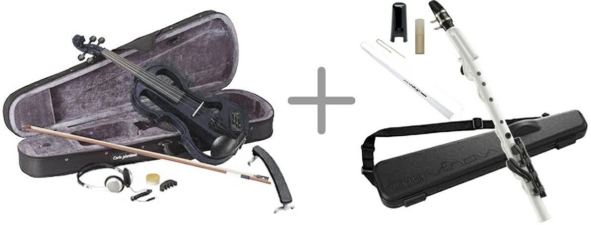 楽天市場】CarloGiordano カルロジョルダーノ 特注 ナイロン弦 EV-202