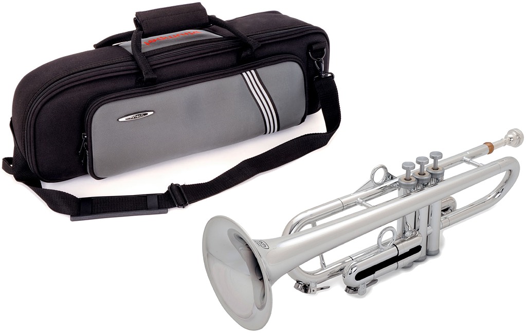 楽器 銀色 プラスチックトランペット ハイブリッド Pinstruments Ptrumpet1hts 金管楽器 Pinstruments Ptrumpet Silver Hytech Silver トランペット ハイテック B Pトランペット シルバー Trumpet 北海道 沖縄 離島不可 ワタナベ楽器 楽天ｓｈｏｐ