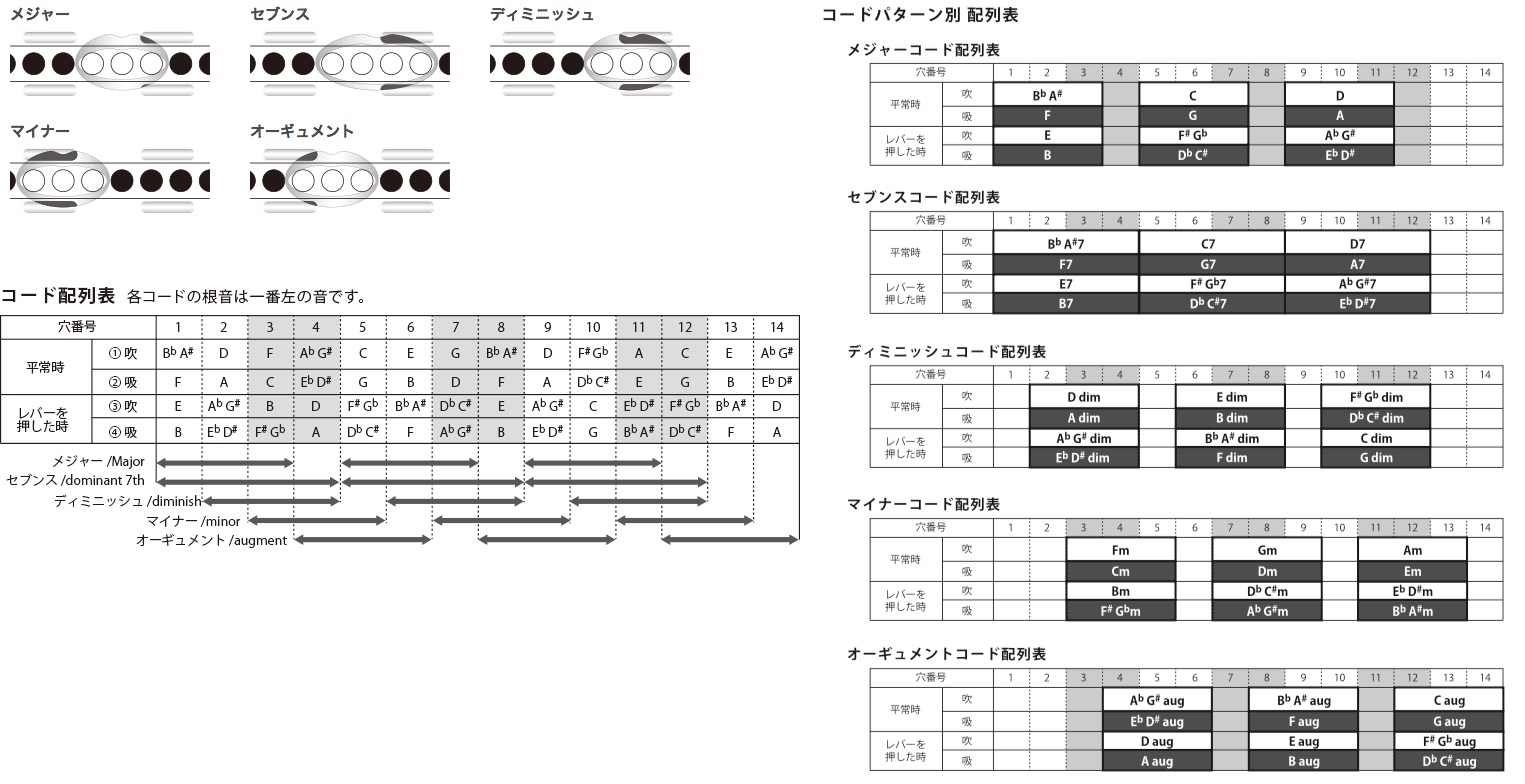 Suzuki スズキ Ssch 56 スライドブライダル 吊紐ハーモニカ 合奏団 コード 48種 尺 セブンス マイナー Chord Harmonica Cannes Encheres Com