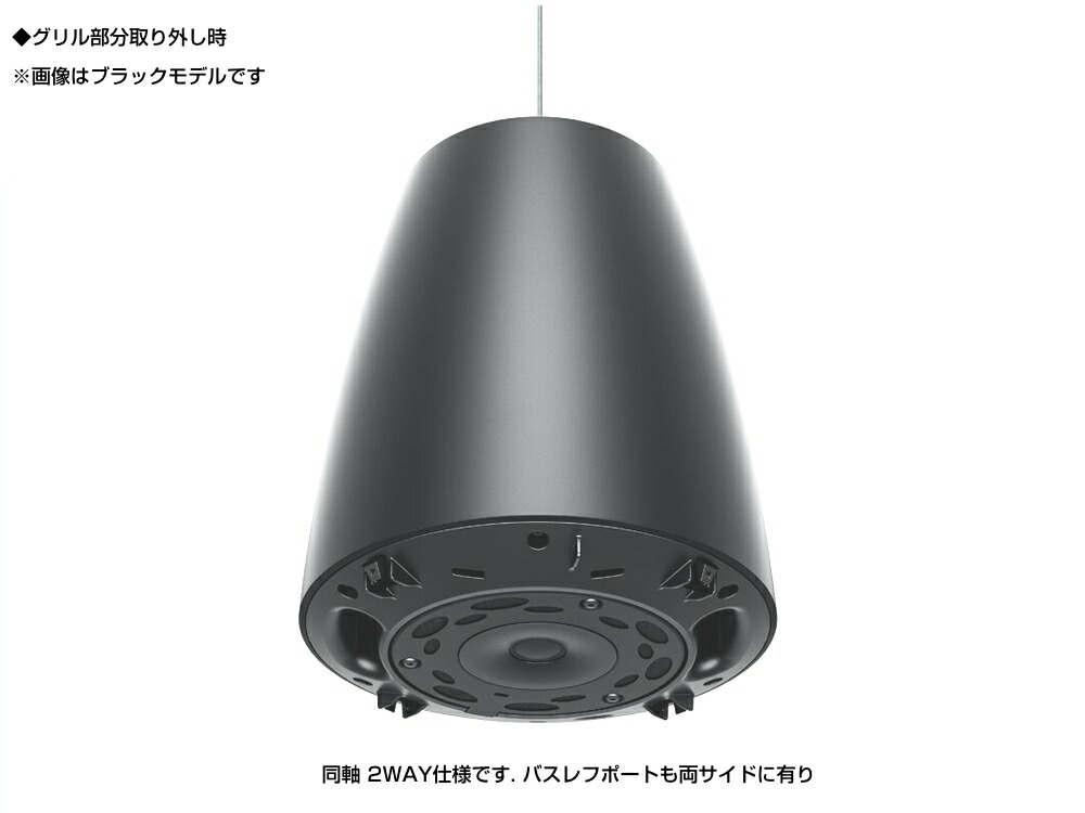 BOSE ボーズ DM3P PAIR WHT ペア / 2本入 吊り下げ ペンダントマウント 