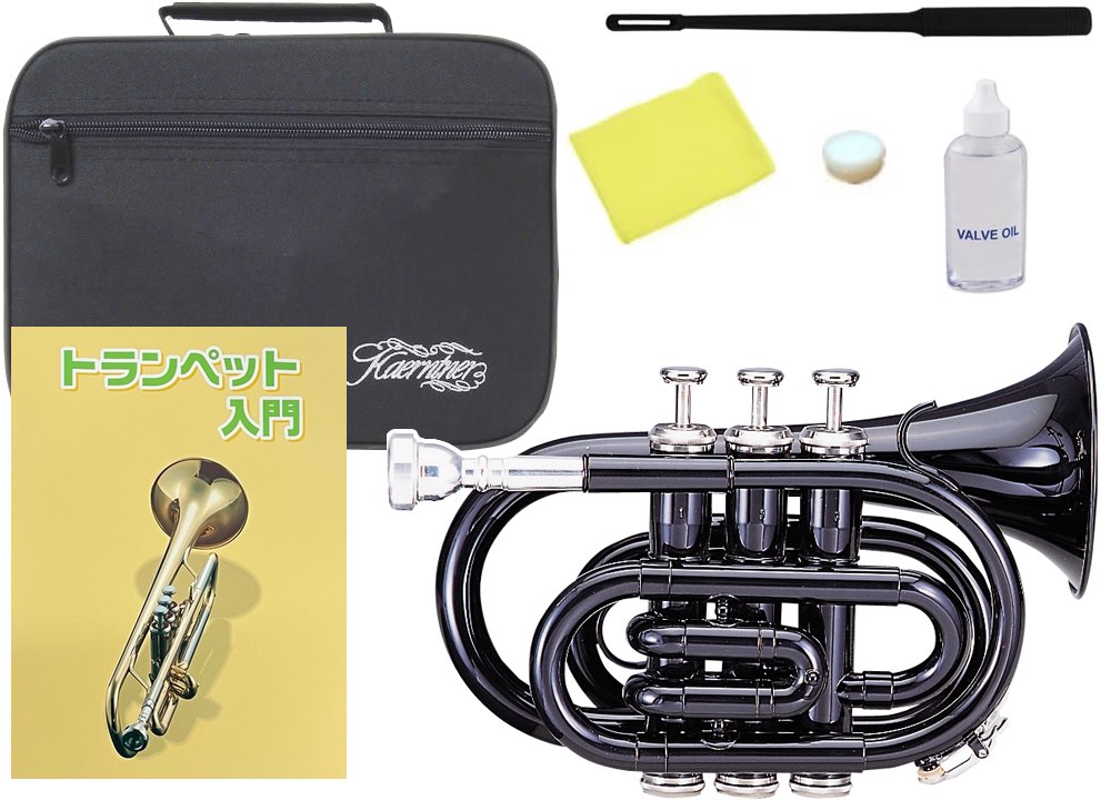 楽天市場】Kaerntner ケルントナー KTR-33P MRD ポケット