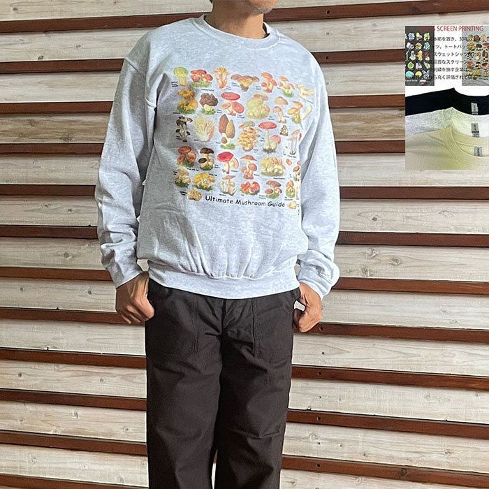 カバーコード購入国内正規AriesアリエステンプルスウェットXL カバーコード購入国内正規AriesアリエステンプルスウェットXL